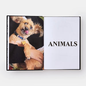 Palace Product Descriptions, The Selected Archive - Sneaker Essentials