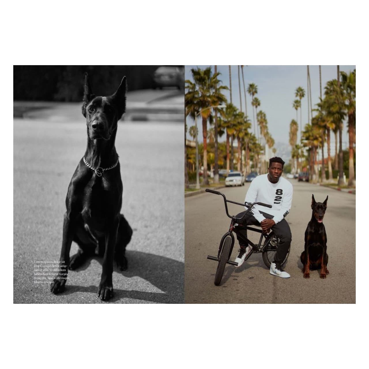 Nigel Sylvester: GO - Sneaker Essentials