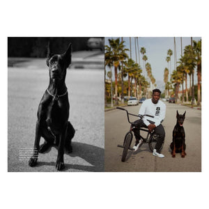 Nigel Sylvester: GO - Sneaker Essentials