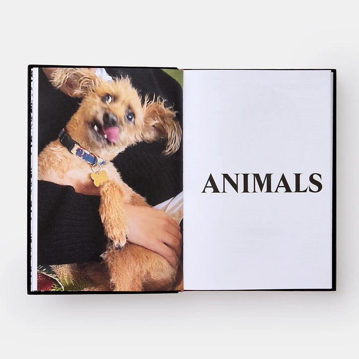 Palace Product Descriptions, The Selected Archive - Sneaker Essentials