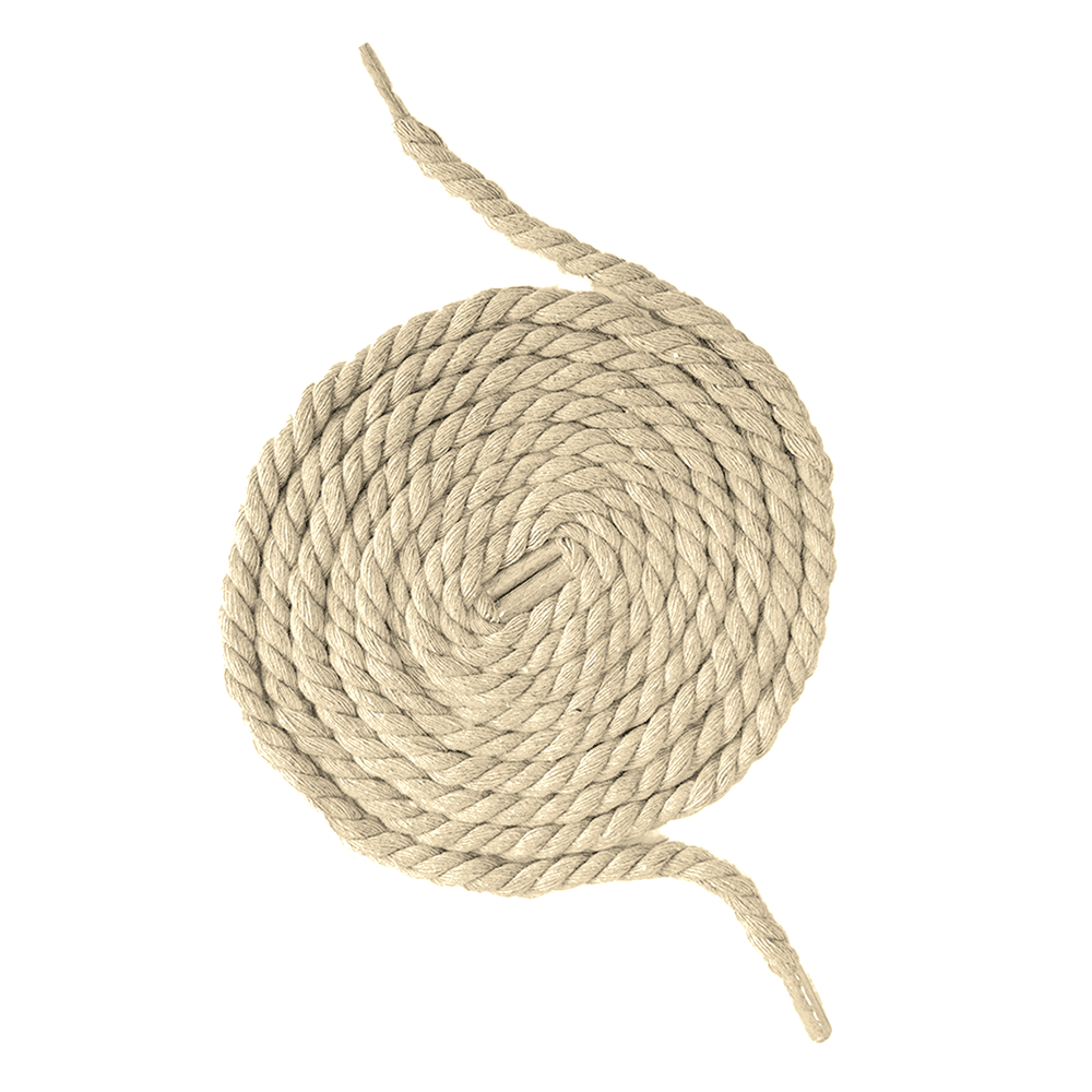 Sneaker Essentials - Lacets premium - Cordes - Crème